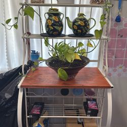 White Cabinet Shelf For Plants . 
