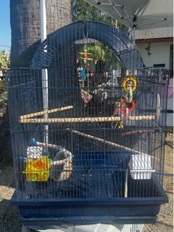 Bid Cage: 24.8 x 32 x 20.8 inches