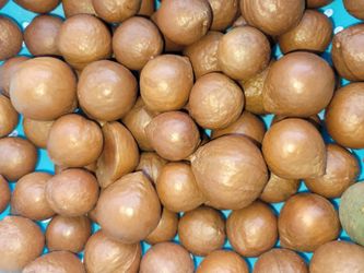 Fig Trees And Loquat