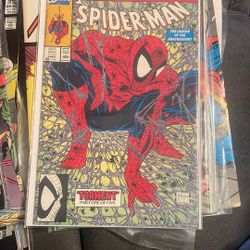 Spider-Man 1 Torment 