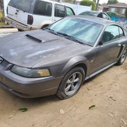 03 Mustang Parts