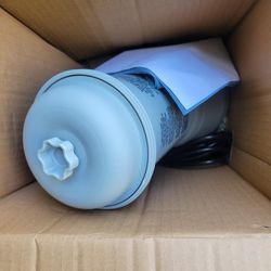 Intex Cartridge Filter