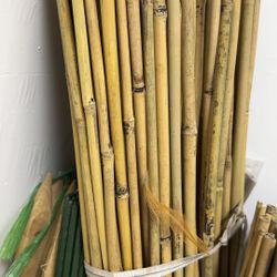 Nature Bamboo Plant Stakes -4 ft / 1.2m (Pack of 50)
