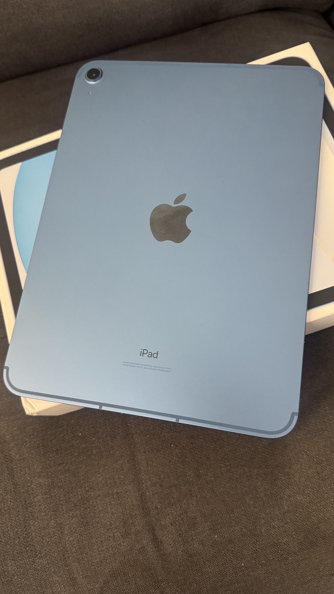 iPad 10th Generation 256gb