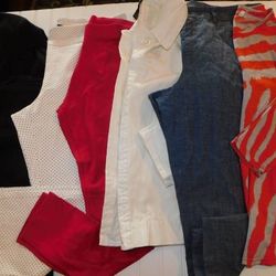 Women's size L 14 Clothes Lot