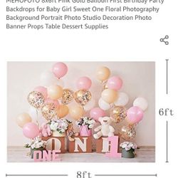 First Birthday Party Decoration For Girl