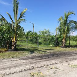 1 Acre O 1/2 Acre A La Renta, En Labelle 2horas De Miami