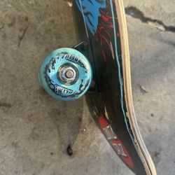 Santa Cruz Skate Board 