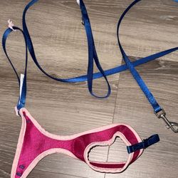Cat/ small dog harness with leash 