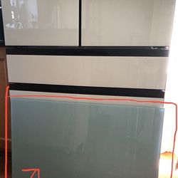 Samsung Bespoke Refrigerator/Freezer Panel