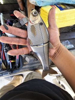 Hinkle Shad Swimbait Replica