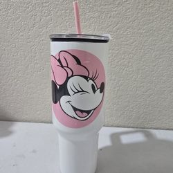 Disney Stainless Steal Cup $10