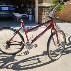 1990s Nishiki Blazer  Bicycle
