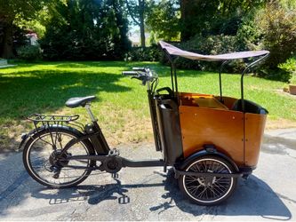 Ferla Family Royce (1st Edition) e-bike cargo trike – fully loaded