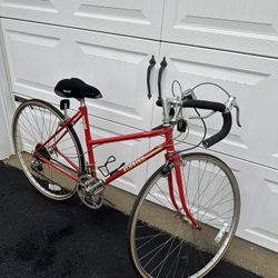 Schwinn Traveler