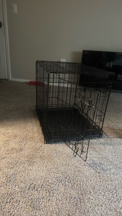 Kennel