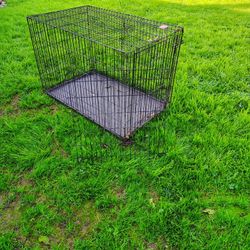 Dog Cage