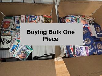 BUYING BULK ONE PIECE
