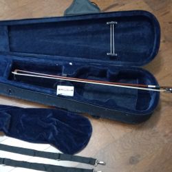Violin Case