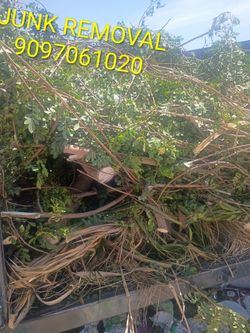 FREE RECOGEMOS TODA CLASE DE BASURA MADERA COLCHONES $$