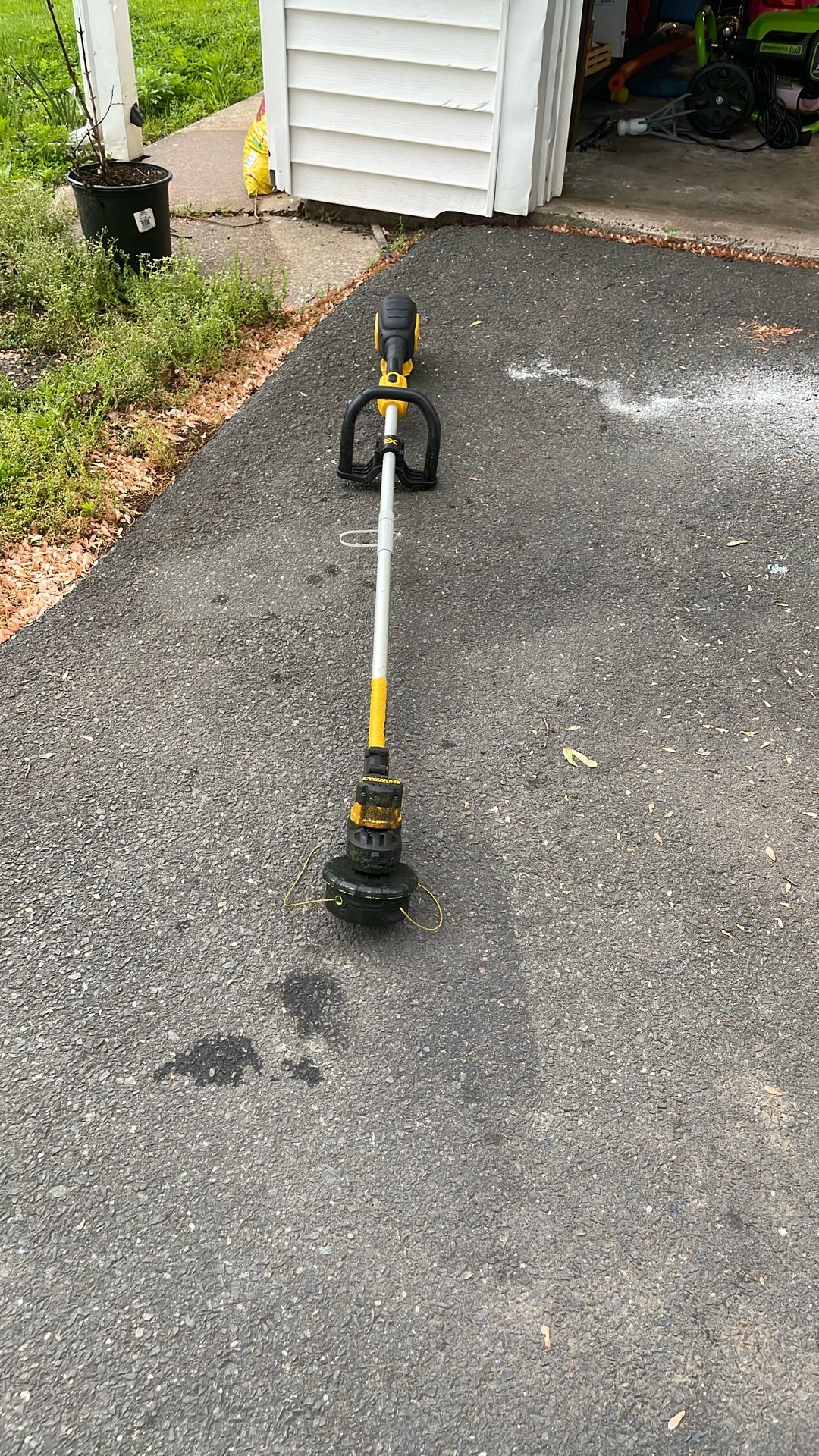 Dewalt 20v Steing Strimmer