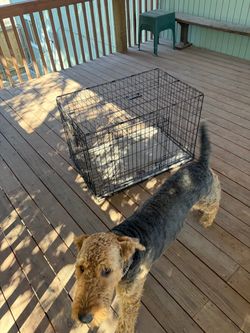 Black Wire Dog Crate with Mat