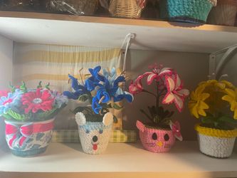 Flores eternas 🌻🌺😂