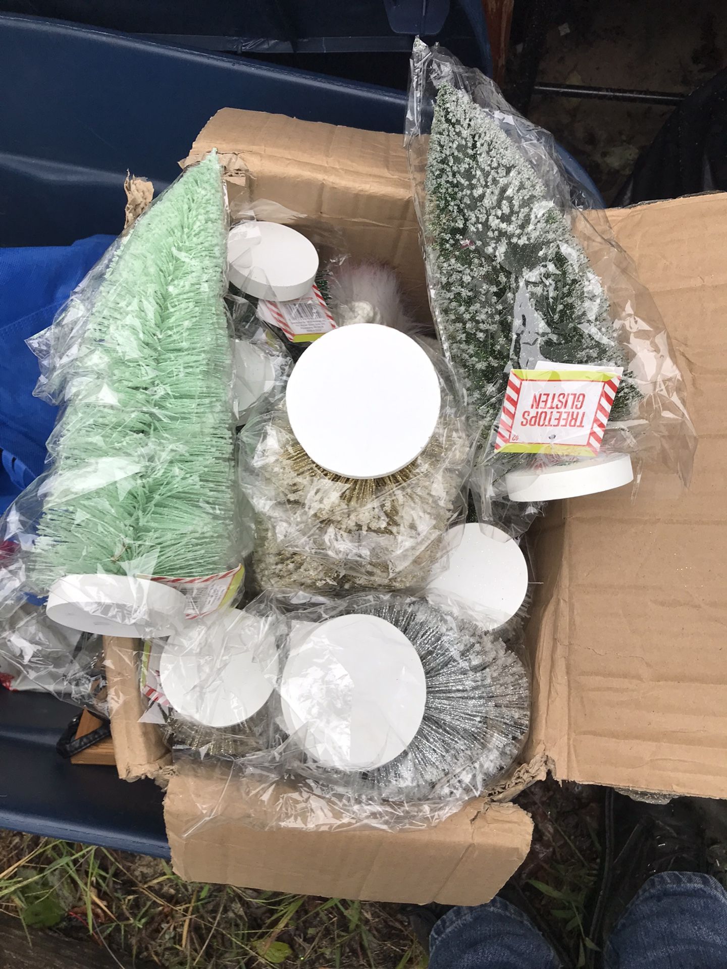 New 12 Inch Trees Only Two Dollars Each