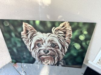 Yorkie Aluminum Print (3’ X 2’)