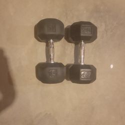 45 Lb Weights