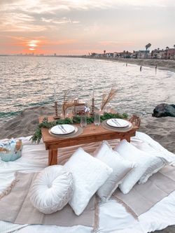 PICNIC SETUPS