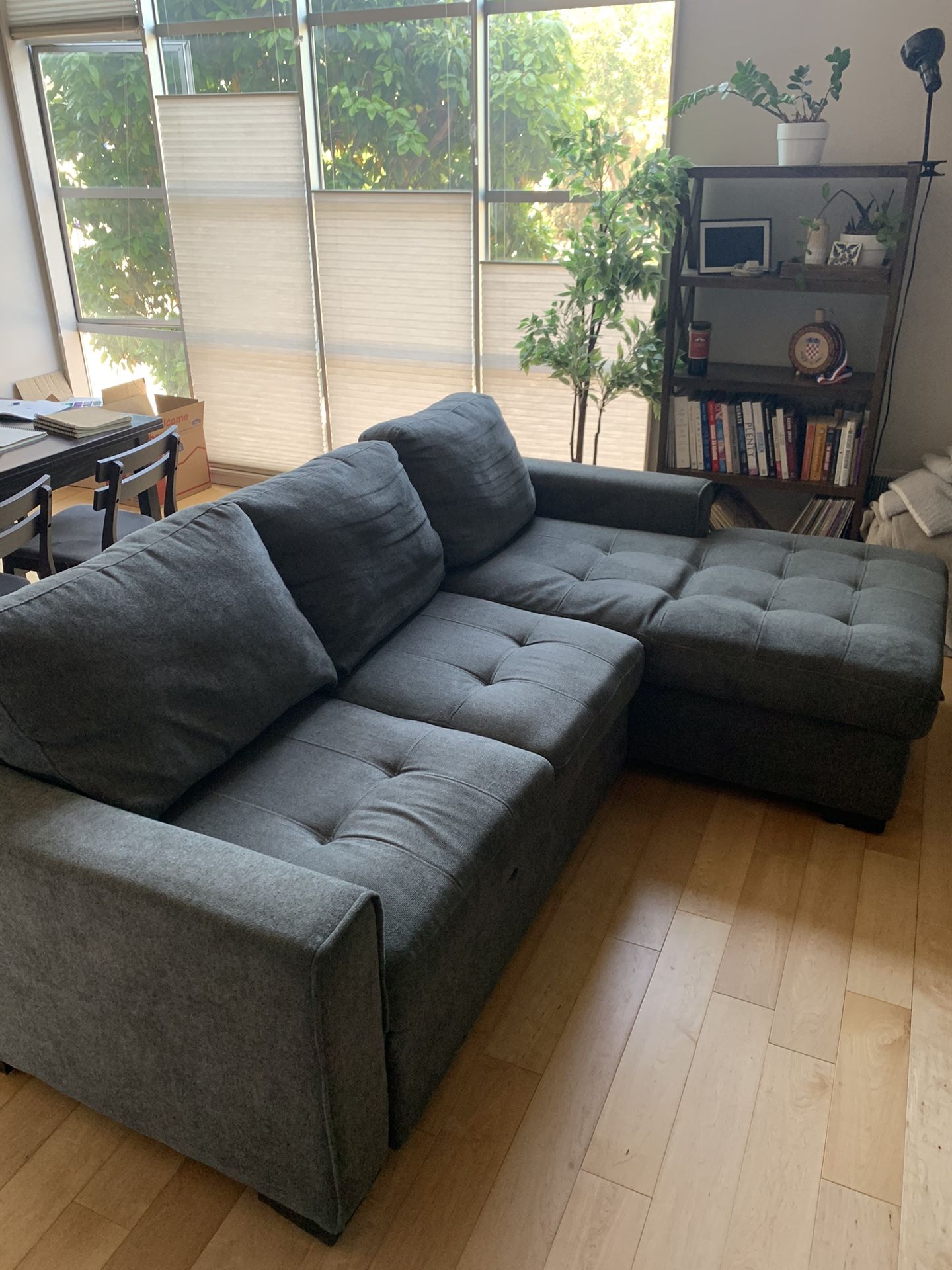 Sleeper Sofa With Storage Chaise