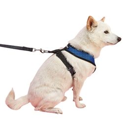 Lightweight Dog Harness –Blue, Red, Black, Mesh, Adjustable Fit with Metal D-Ring, Sizes (S-XL)