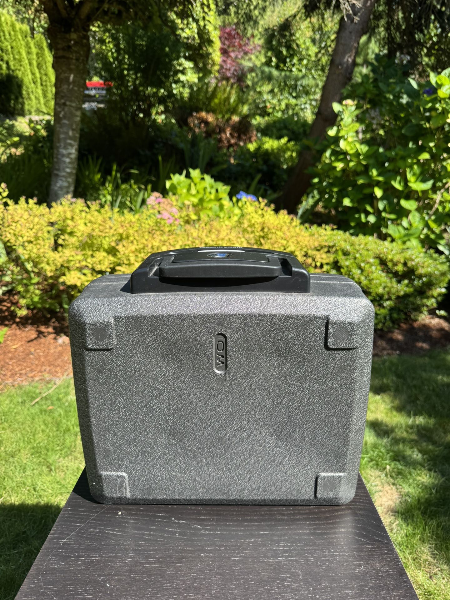 Sentry Safe