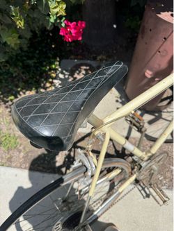Old speed bike -70s