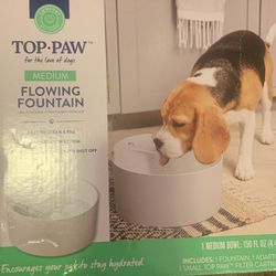 Dog Fountain Water Bowl