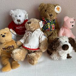 Assorted Ty and Hard Rock Cafe Stuffed Animals