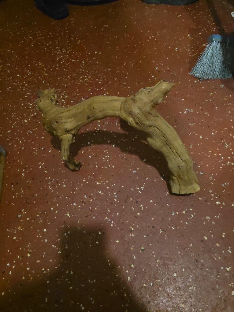 Driftwood