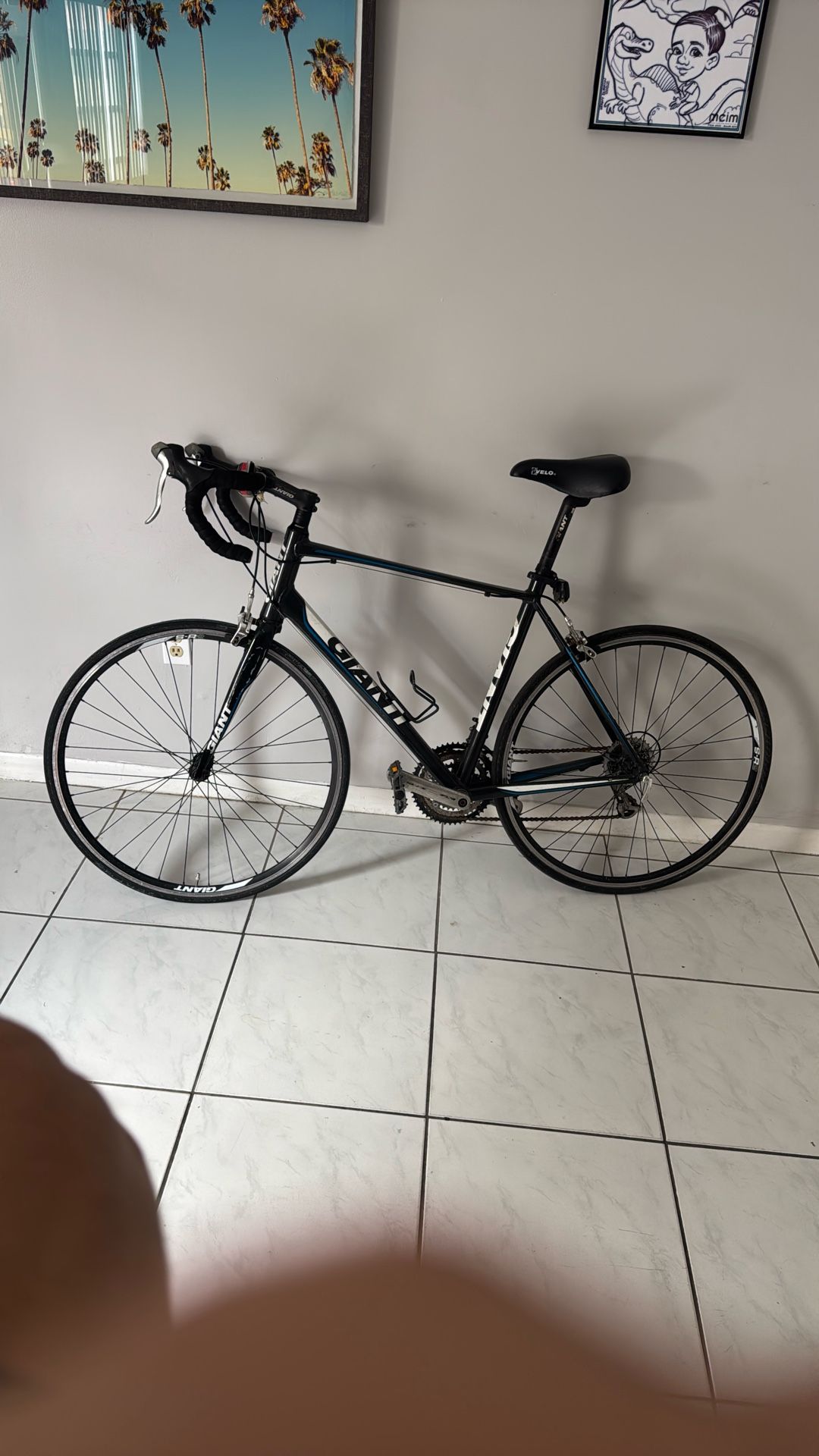 Giant Bicycle