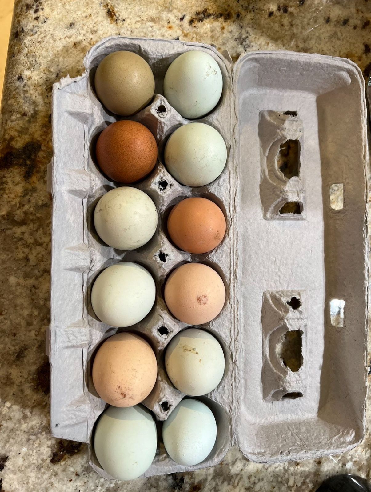 Farm Fresh Eggs - Unwashed