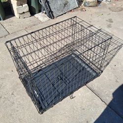 Dog Cage 