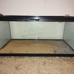 75 gallon Reptile Enclosure