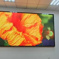 LED DISPLAY  SCREEN P2