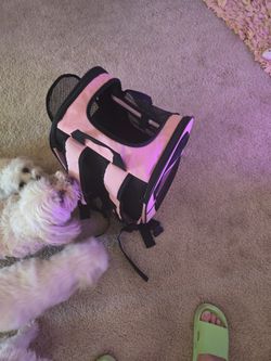 Pet Carrier Backpack