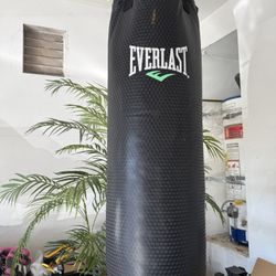 Everlast Everstrike 70lb Heavy Punching Bag