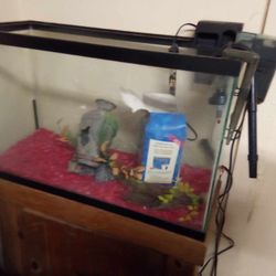 Fish Tank