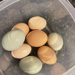 Eggs