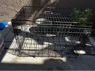 XL dog crate
