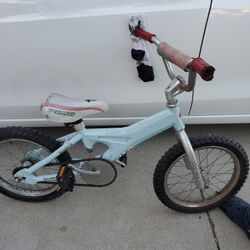 Specialized Hemi Bike 