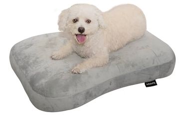 Brand New Dog Bed Washable Pet Bed with Waterproof Air Mattress (Crystal Silky, M-31.5x23.6x4.7in)
